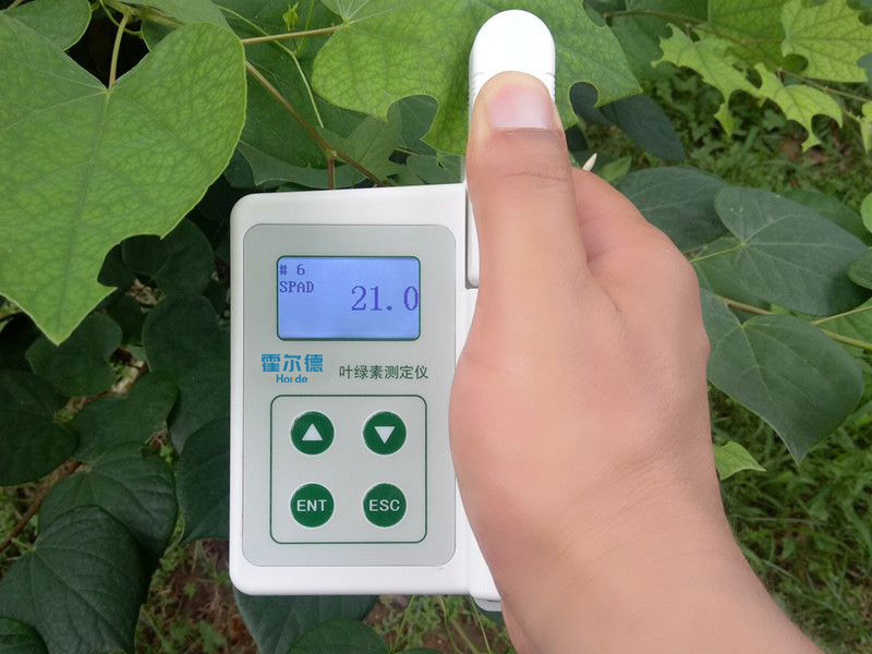 葉綠素含量測(cè)定儀具備哪些功能 葉綠素含量測(cè)定儀具備哪些功能