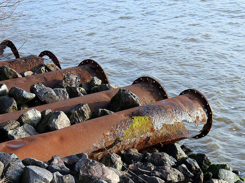 水質生物毒性在線分析儀具備哪些特點