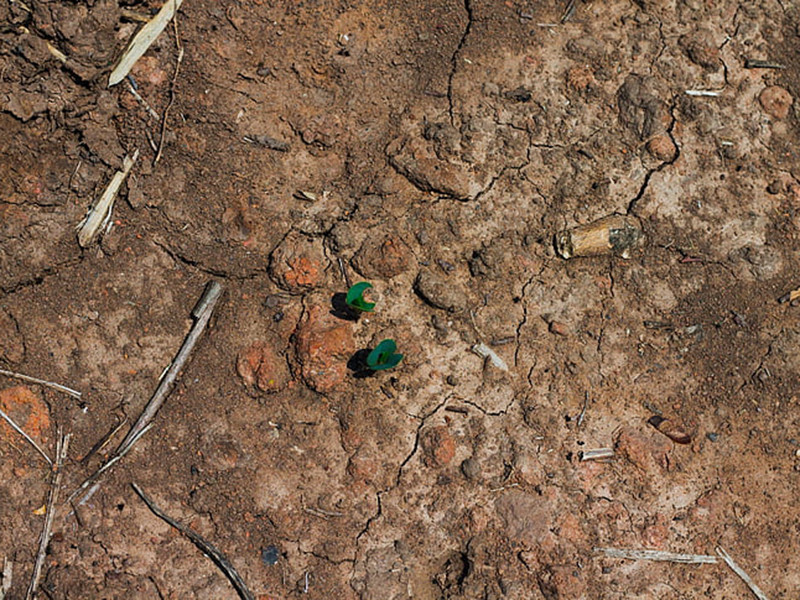 手持式土壤重金屬分析儀準確度高
