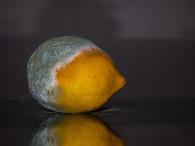 食品中常見的真菌毒素有哪些?