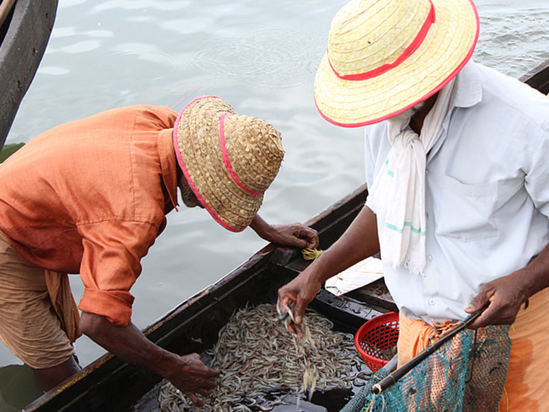 水產養殖檢測水質的重要性 水產養殖檢測水質的重要性