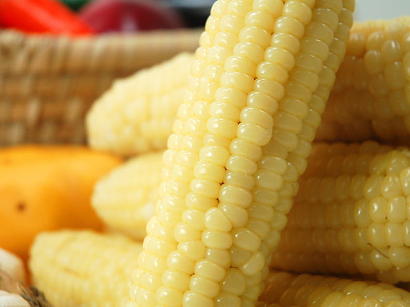 糧食重金屬超標的原因及檢測方法 糧食重金屬超標的原因及檢測方法