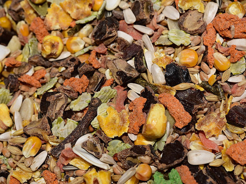 真菌毒素檢測方法 真菌毒素檢測方法