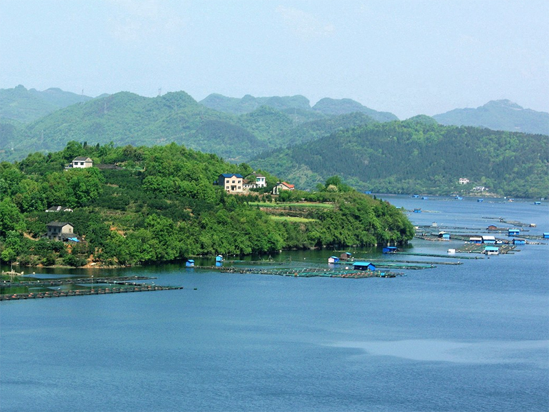 cod快速檢測儀 cod快速檢測儀