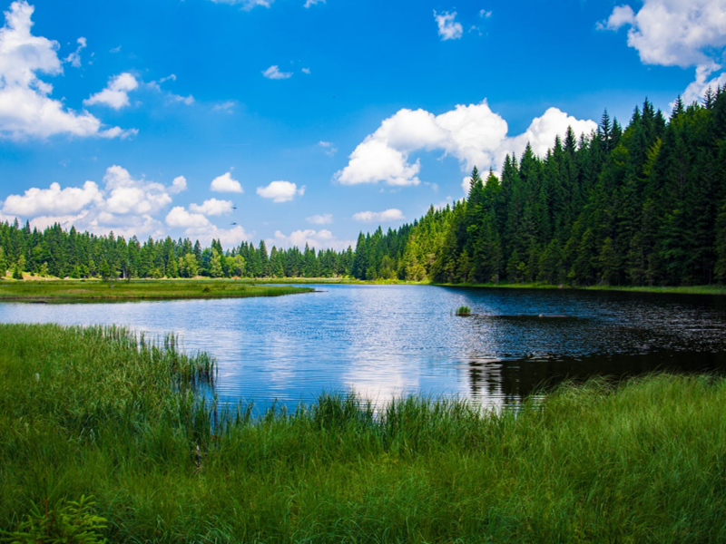 COD水質(zhì)檢測儀 COD水質(zhì)檢測儀