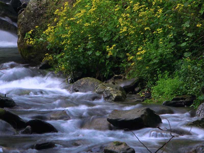 最新地表水水質監測數據統計 最新地表水水質監測數據統計