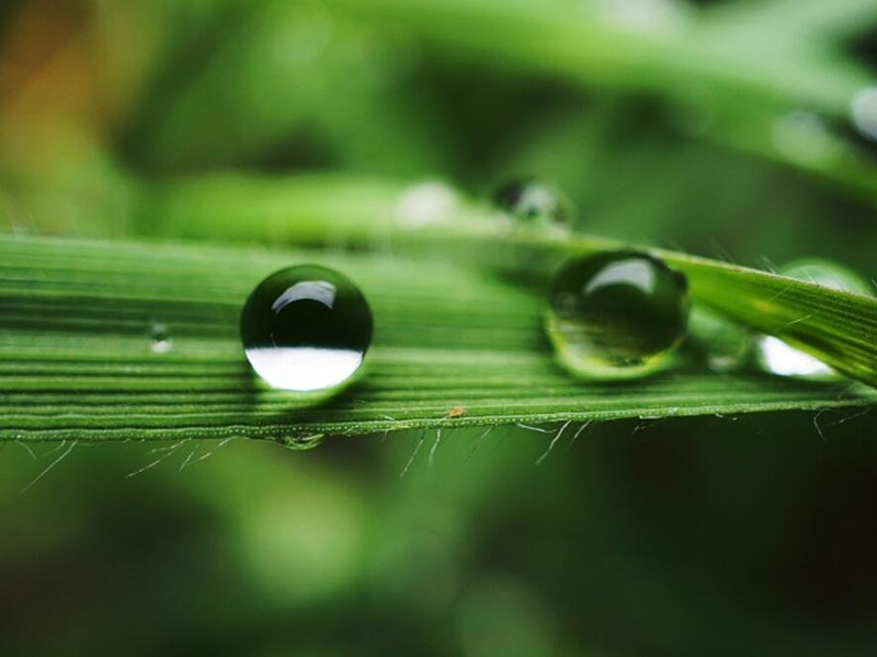 水質檢測為什么要制作標準曲線