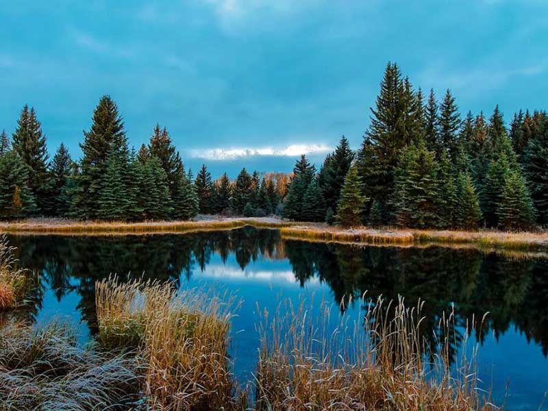 水質(zhì)總磷檢測(cè)原理與步驟