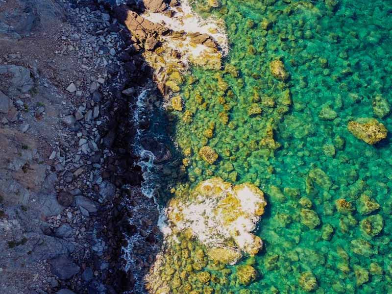 【答疑】水質在線監測設備產生的廢液應由誰來處置？