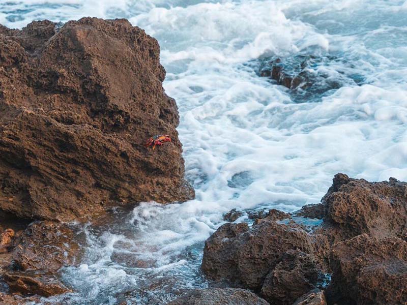 如何驗證水質測定儀的性能