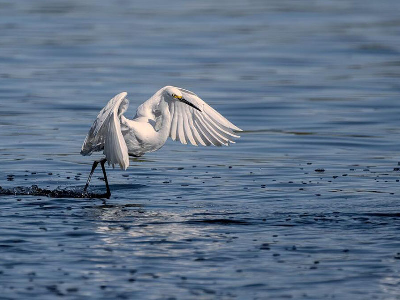 便攜式多參數(shù)水質(zhì)檢測(cè)儀多少錢(qián)