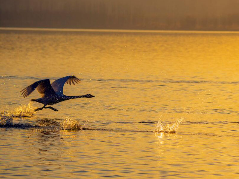 水產(chǎn)養(yǎng)殖水質(zhì)檢測(cè)儀說(shuō)明書