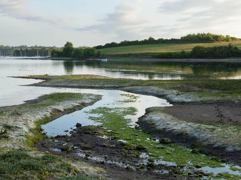 【統計】生態環境部公布2024年1—3月全國地表水環境質量狀況