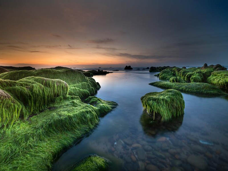 總磷快速測定儀檢定規程