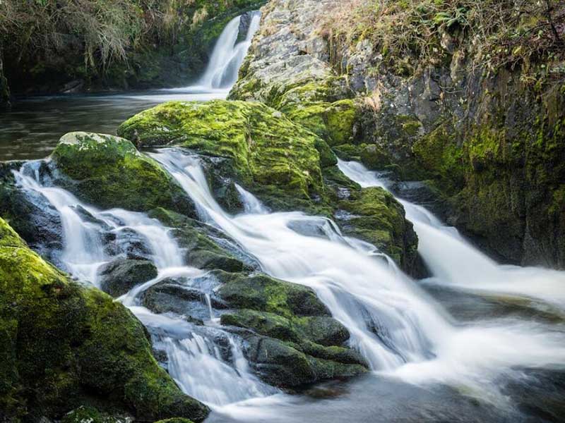 余氯在線監測儀的使用要求