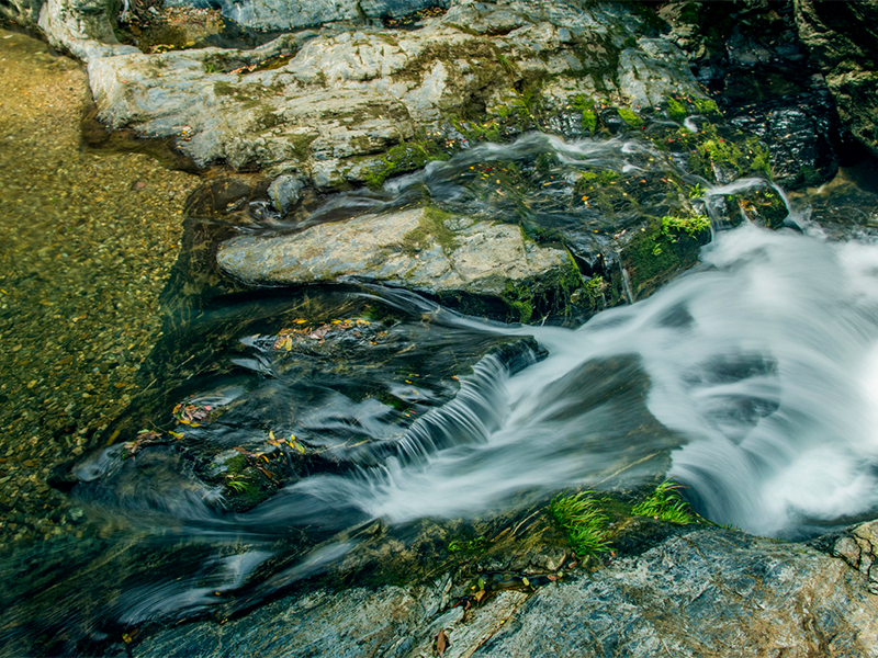 總氮分析儀的應用（總氮分析儀的注意事項）