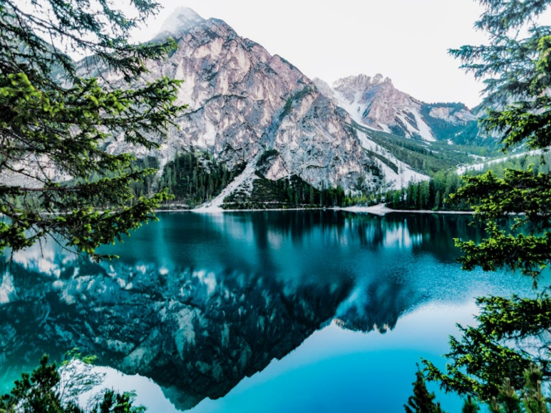 重金屬在水中的危害(重金屬超標對生態環境的影響)