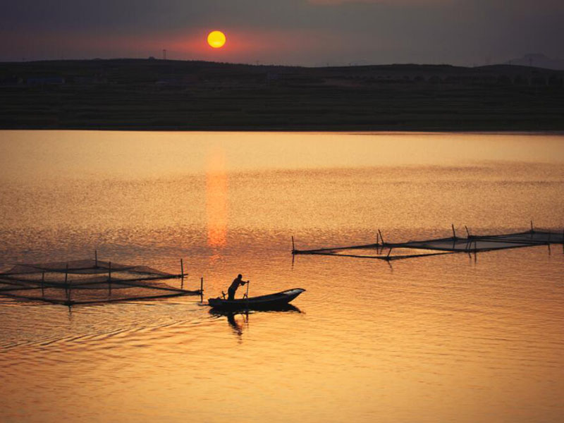 水質大腸桿菌檢測儀工作原理（水質大腸桿菌檢測儀優點）