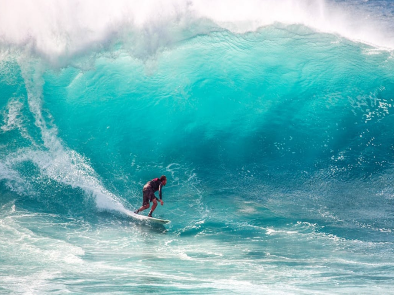 冬季水產養殖面臨的挑戰（冬季水產養殖水質需要注意哪些指標異常）