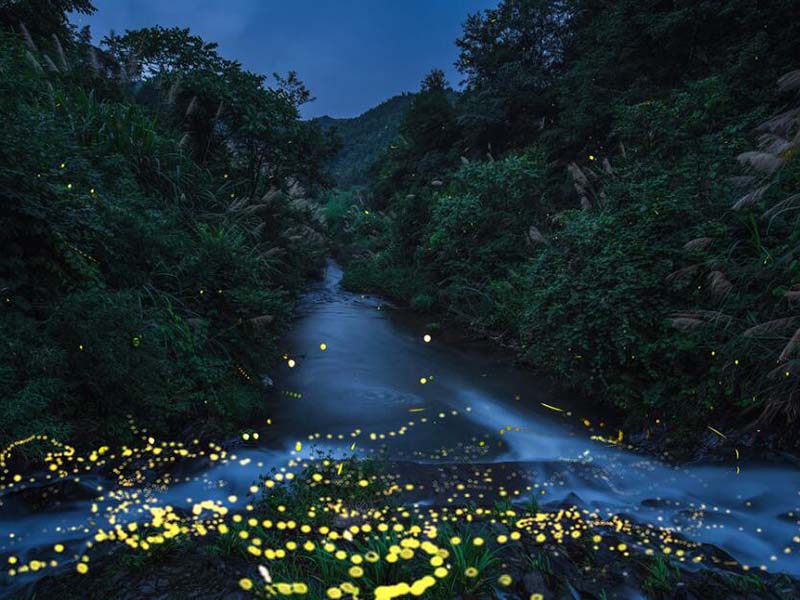 消解儀溫度設置到多少合適（如何選擇合適的消解儀溫度）