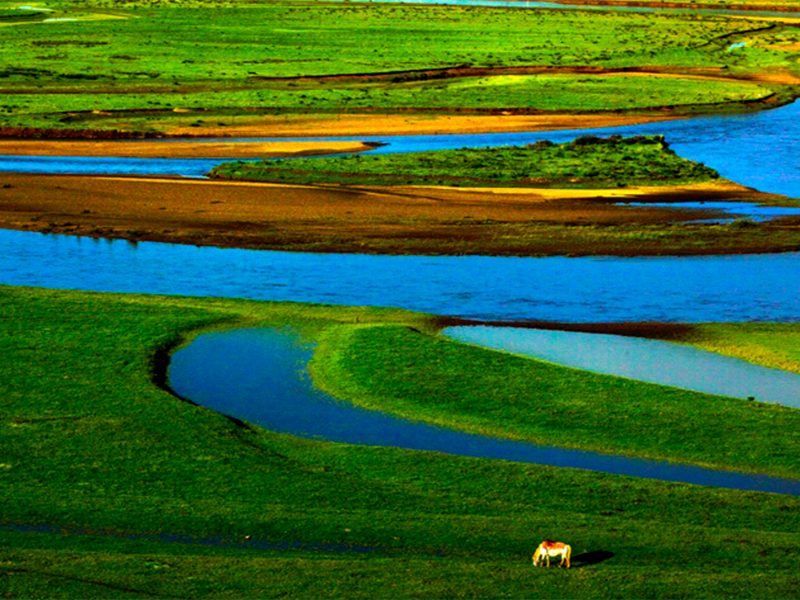 水質總氮超標的原因（水質總氮超標的處理方法）