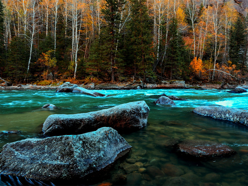 水質總磷檢測步驟及注意事項(水質總磷檢測的常用方法)