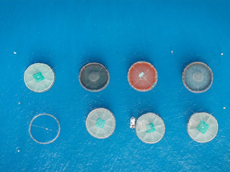 水產(chǎn)養(yǎng)殖水質(zhì)檢測儀怎么選擇（水產(chǎn)養(yǎng)殖水質(zhì)檢測儀類型特點）