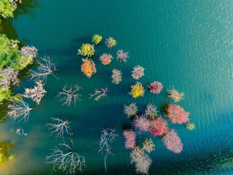 COD檢測儀消解比色一體管好處是什么(COD檢測常見問題及解決)