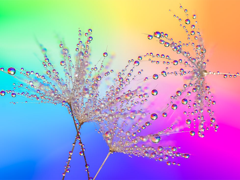 生活飲用水硝酸鹽標準值(水質硝酸鹽檢測國標)