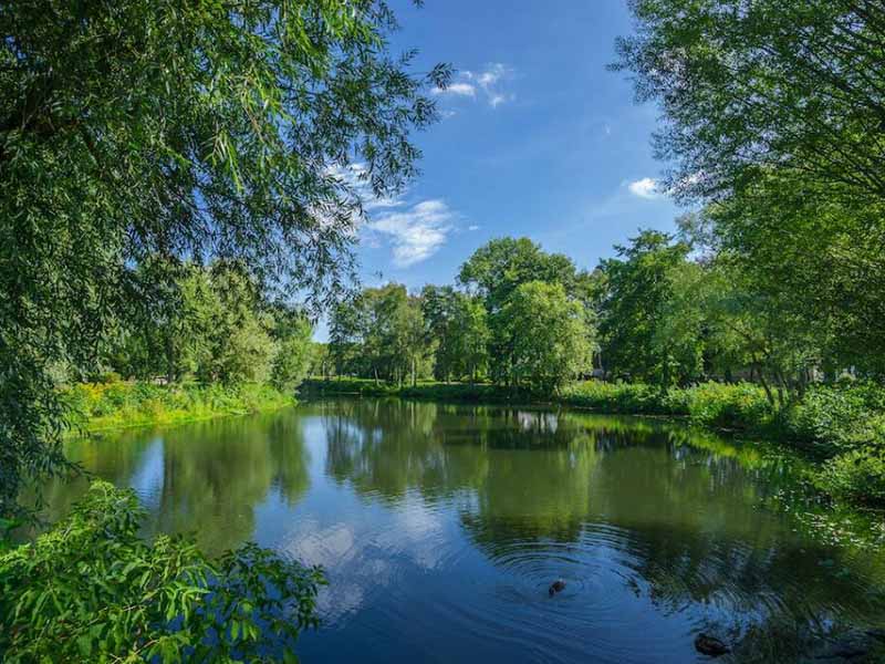 水體富營養化有哪些危害(水體富營養化治理措施)