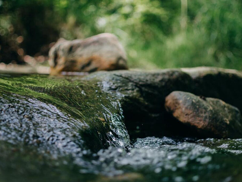 葉綠素對水質有什么影響(不同水質葉綠素a標準限值)