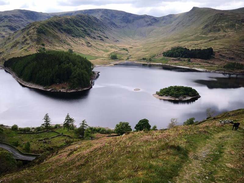 污水處理的基本原則(污水處理分級與核心指標)