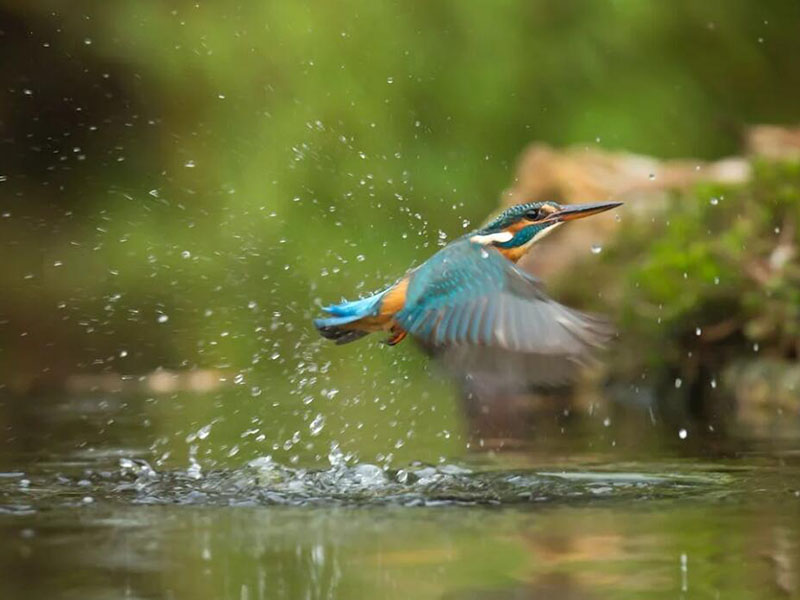 總氮測(cè)定儀工作原理（總氮測(cè)定儀使用方法）