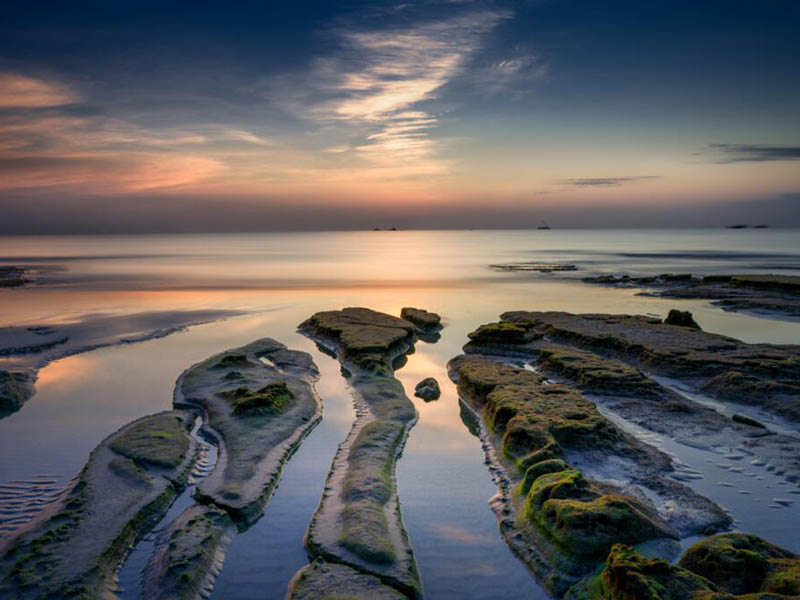 氨氮超標的危害有哪些