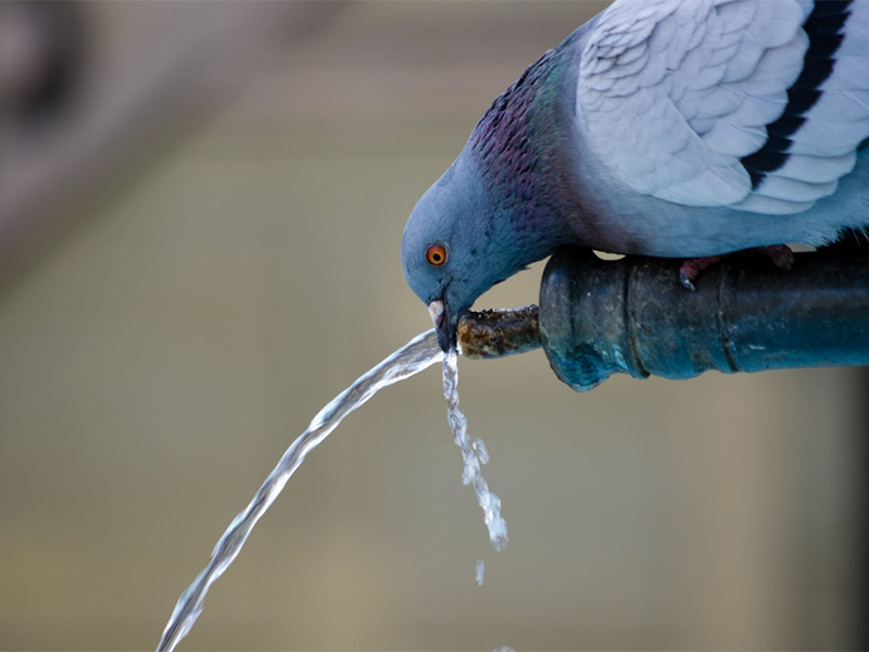 二次供水升級中水質(zhì)監(jiān)測設(shè)備的作用(水質(zhì)監(jiān)測設(shè)備功能特點(diǎn))
