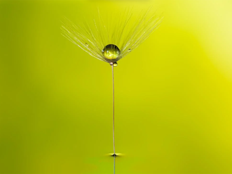 在線氨氮分析儀檢定規(guī)程(在線氨氮分析儀安裝、使用及維護(hù))