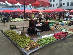 食品安全檢測儀能檢測什么食品?