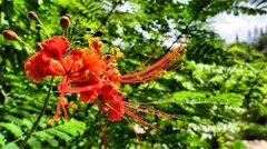 土壤有機(jī)質(zhì)檢測(cè)儀有什么作用?