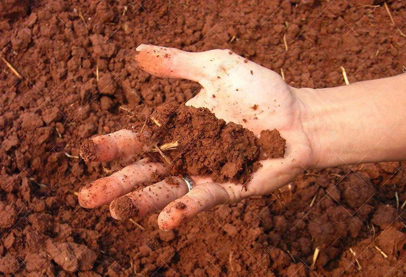 土壤墑情監測儀