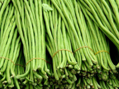 豆角中含有滅蠅胺？怎么解決？