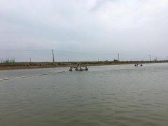 霍爾德便攜式余氯檢測(cè)儀，可提前預(yù)防養(yǎng)殖風(fēng)險(xiǎn)