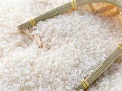 大米重金屬鎘檢測儀，可實現重金屬的快速定量檢測分析