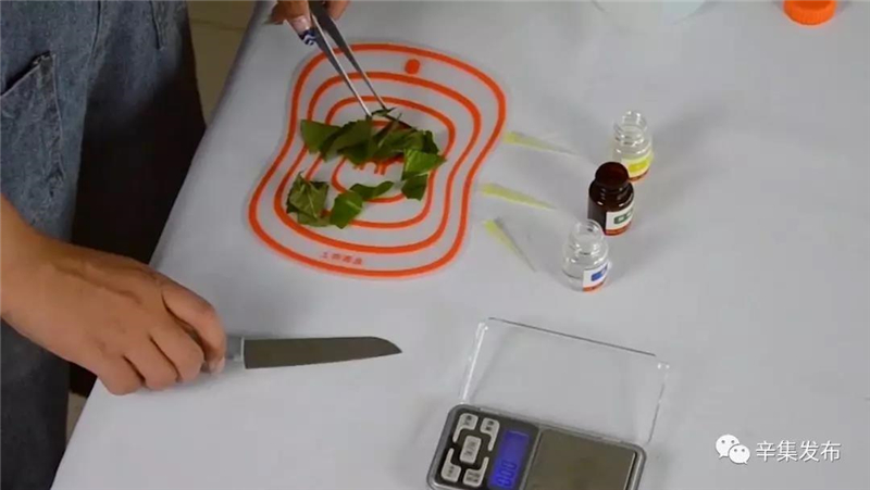 辛集市58所學校配備農藥殘留檢測儀 辛集市58所學校配備農藥殘留檢測儀